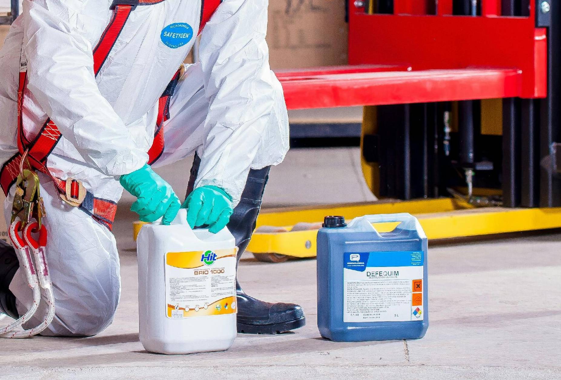 pexels-pixabay-209230 - Copy